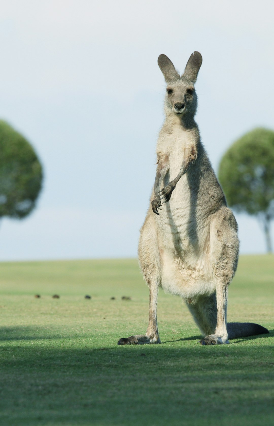 Team exploring Australian outback